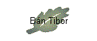 Bán Tibor