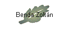 Benda Zoltán