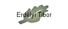 Erdélyi Tibor