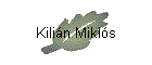 Kilián Miklós