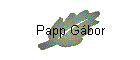 Papp Gábor